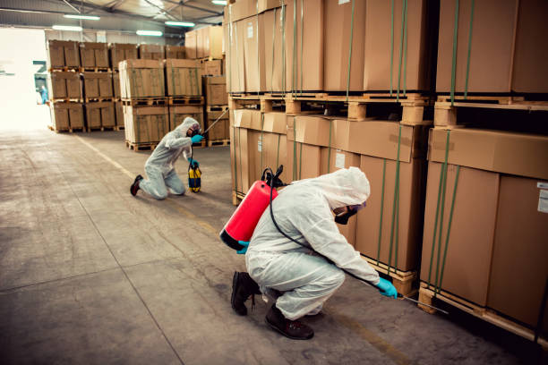 Best Residential Pest Control  in Scotts Hill, TN