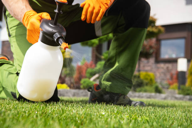 Best Mosquito Control Services  in Scotts Hill, TN