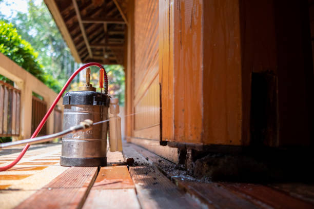 Best Pest Control for Businesses  in Scotts Hill, TN