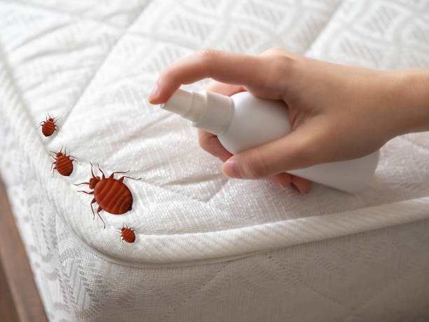 Best Pest Inspection Near Me  in Scotts Hill, TN