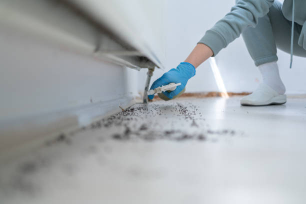 Best Wildlife Control Services  in Scotts Hill, TN