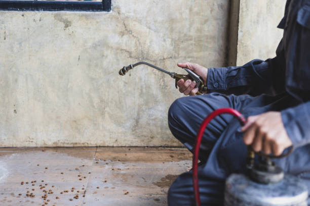 Best Exterminator Services  in Scotts Hill, TN